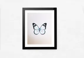 A Graceful Butterfly in Miniature Painting by Mohan Prajapati