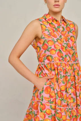 Gigi Cotton Silk Dress in Pink Valencia Print