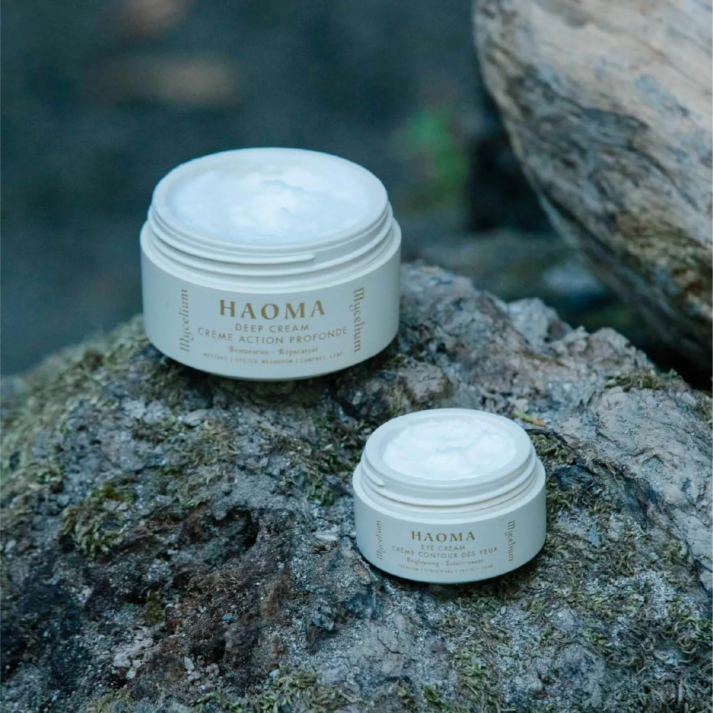 Mycelium Restorative Hydration Set