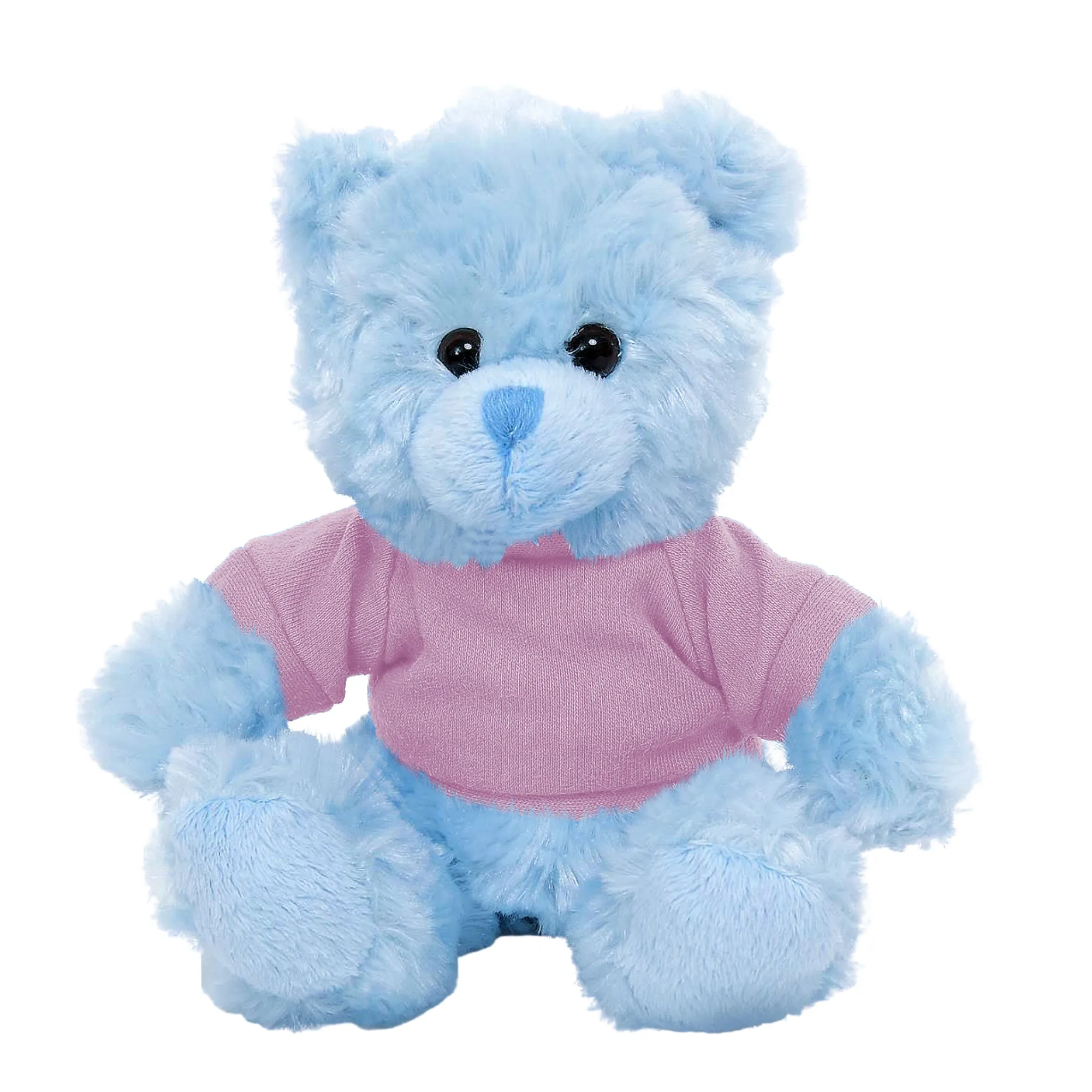 Personalized Teddy Bear Blue Color 11"