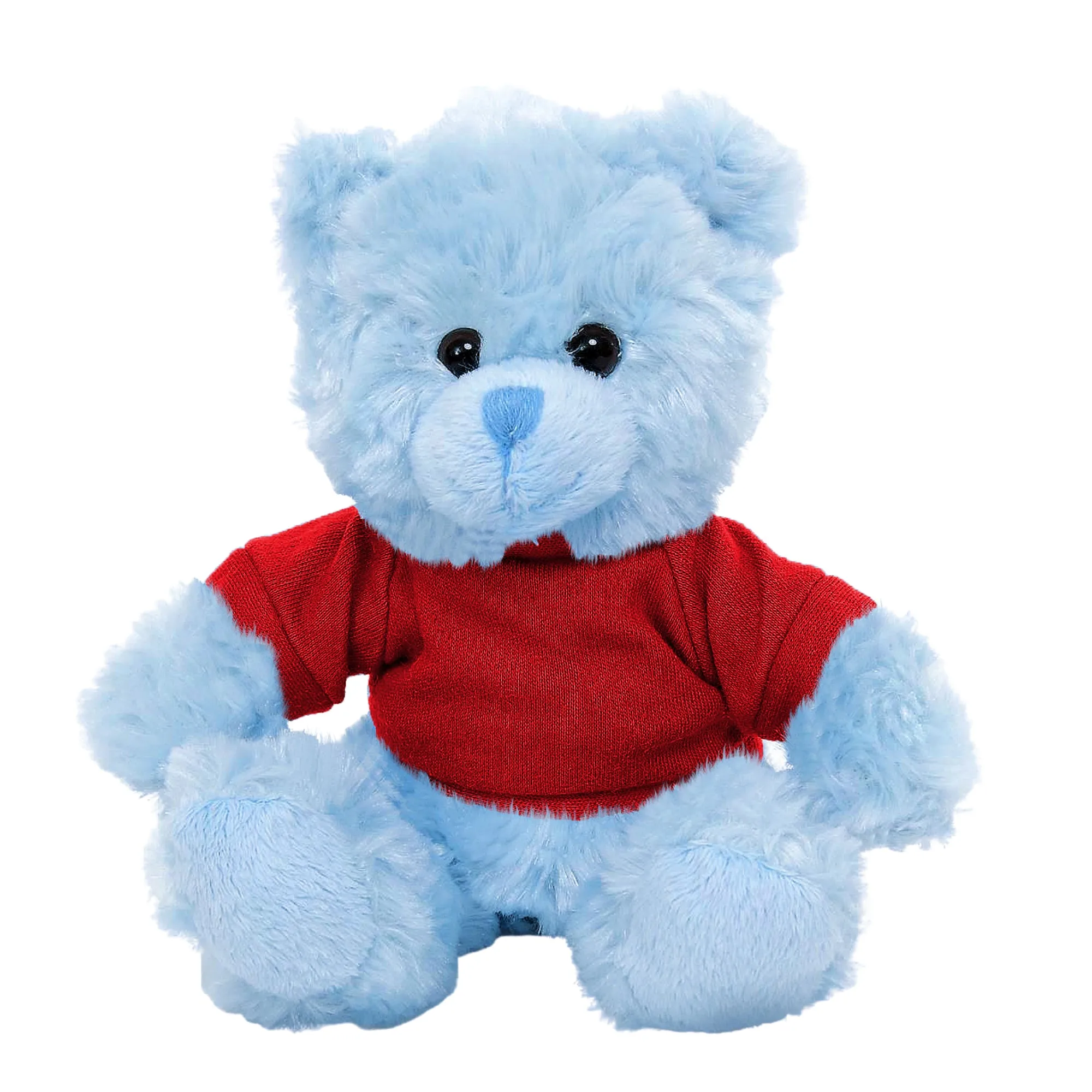 Personalized Teddy Bear Blue Color 11"